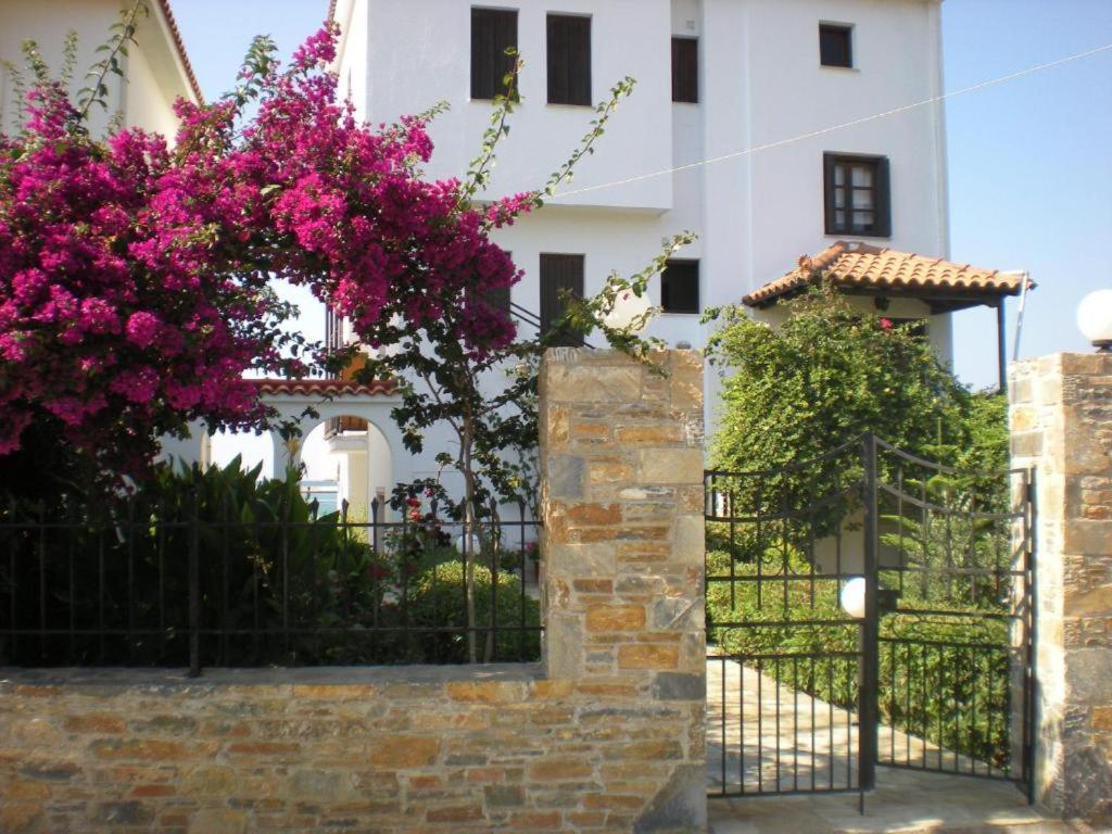 Nikolaos Studios Apartments Città di Skopelos Esterno foto