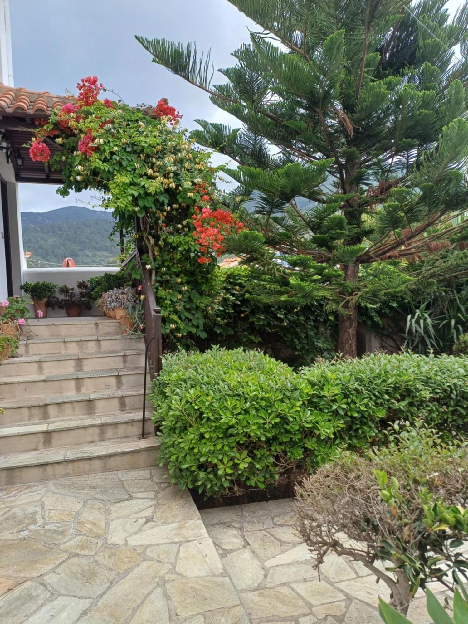 Nikolaos Studios Apartments Città di Skopelos Esterno foto