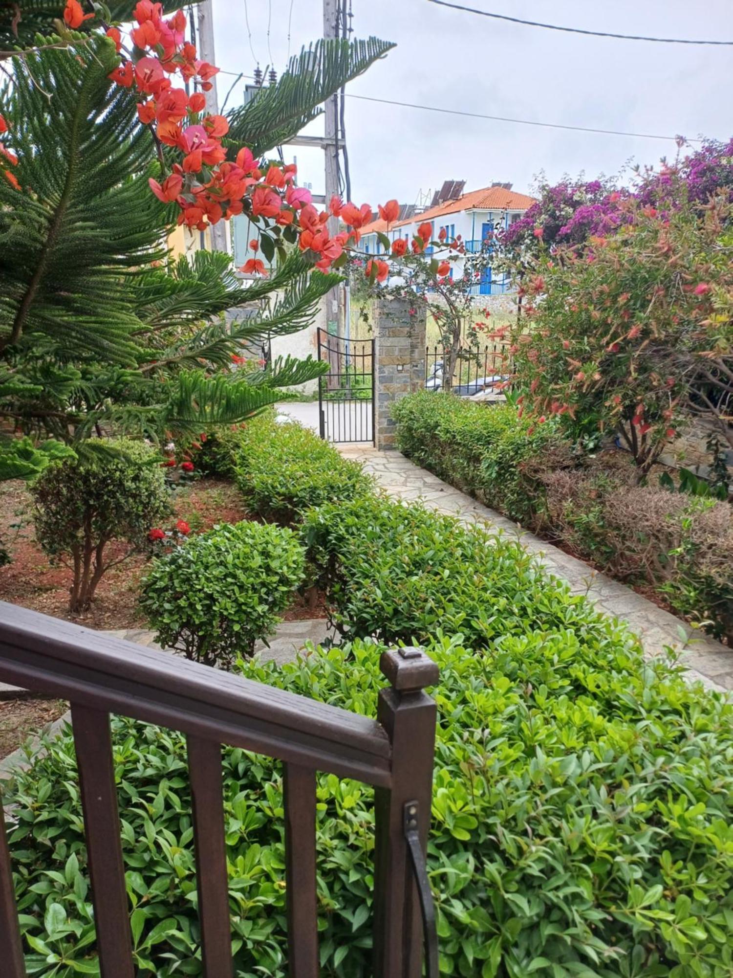 Nikolaos Studios Apartments Città di Skopelos Esterno foto